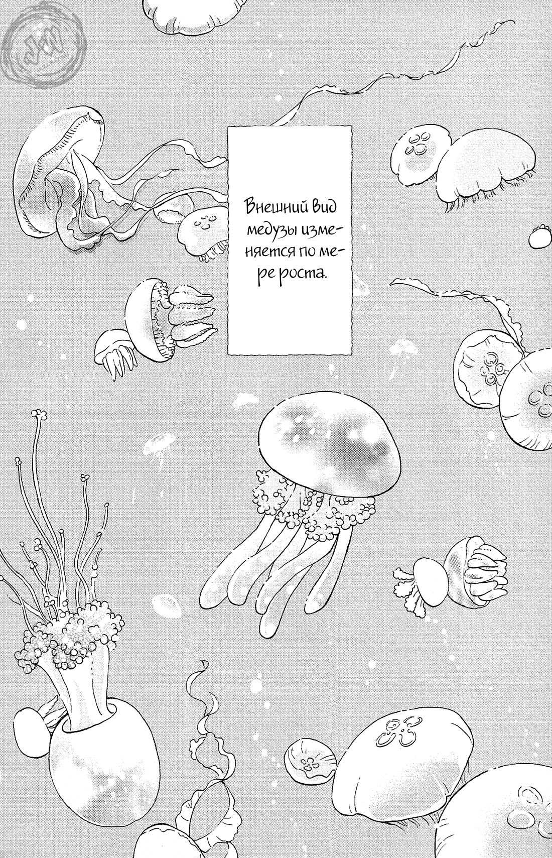 Принцесса - медуза 16 - 81 Невинные мальчики Кобуичи