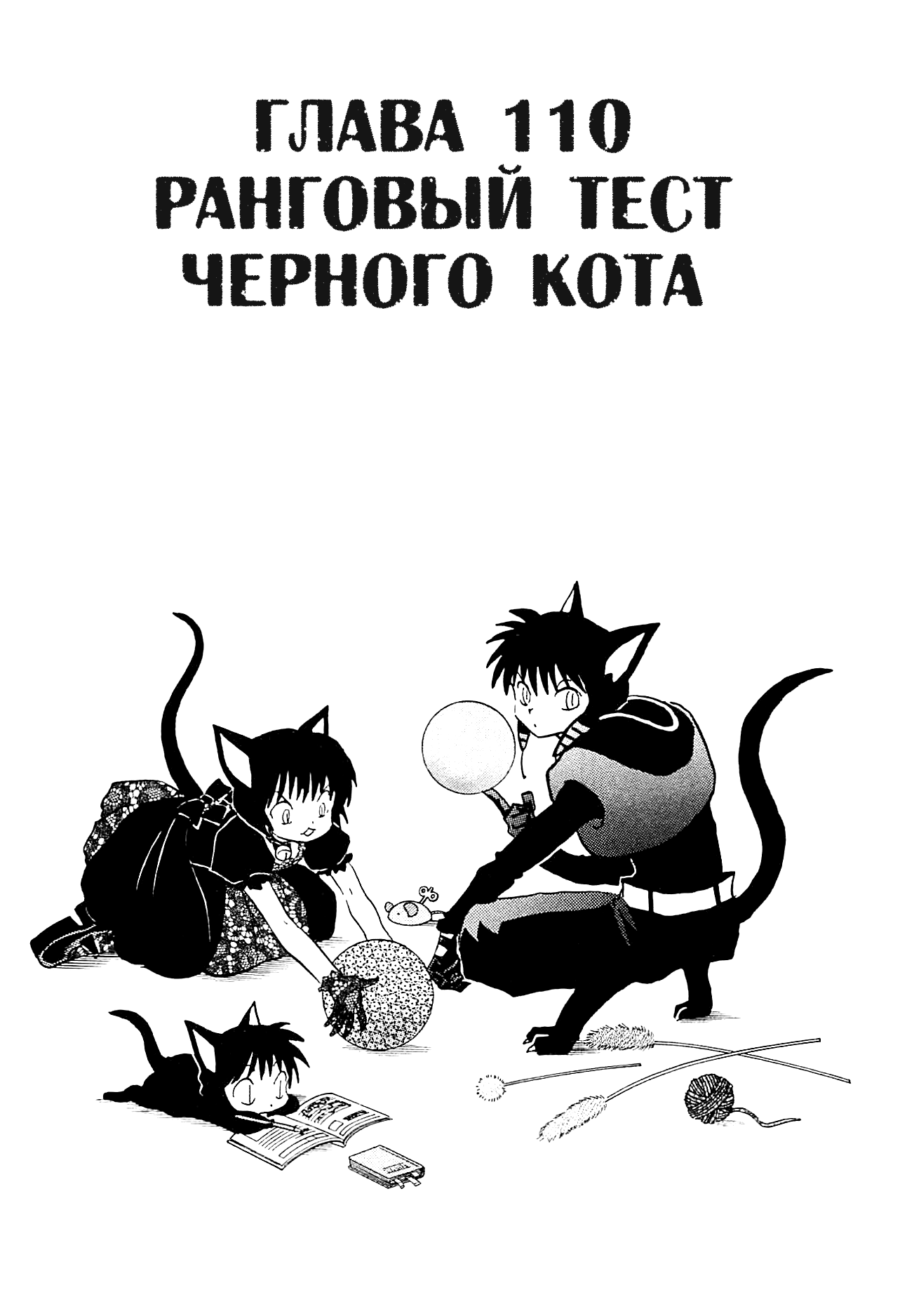Риннэ: Меж двух миров 12 - 110 Ранговый тест черного кота